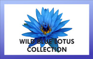 Wild Blue Lotus 